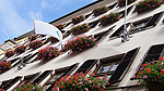 Fönsterluckor och kaskadpelargoner Foto nr 6