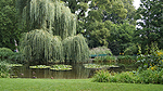 Hofgarten Foto nr 8