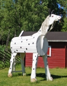 Lilla Gubben Foto nr 6