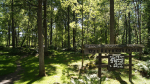 Kaknäs djurkyrkogård Foto nr 41