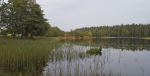 Kroksjön Foto nr 139