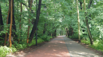 Härliga cykelvägar mellan Sopot och Gdynia Foto nr 15