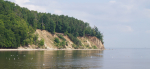 Nationparken Kępa Redłowska Foto nr 17