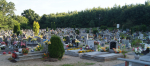 Polska kyrkogårdar är generellt mer pyntade Foto nr 41