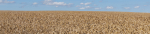 Kanske en bakgrundsbild till Windows 11 Foto nr 45