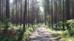 Cykel alternativet till motorvägen den sista biten av Polen Foto nr 57