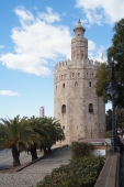Torre del Oro Foto nr 35