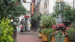 Lilla januarigatan, min gata i Riga Foto nr 176