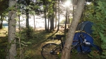 Jungfrunatten Foto nr 20