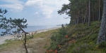Kemeri National Park har också en liten strand Foto nr 214