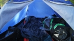 Bikers nest Foto nr 21