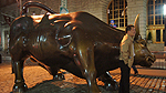 Charging Bull Foto nr 154