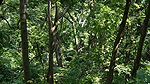 Centrala Manhattan Foto nr 98