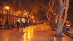 Prado Foto nr 16