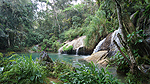 Svalkande naturpool Foto nr 185