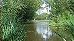 Vondelpark Foto nr 20