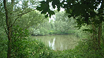 Nationalparken Biesbosch Foto nr 28