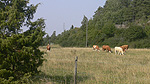 Mörköbor Foto nr 2