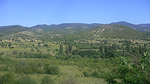 Bulgarisk landsbygd Foto nr 136