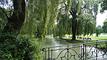 Engelska parken Foto nr 308