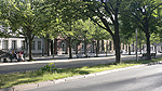 Unter den Linden Foto nr 3