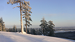 View over Borlänge from Solklinten Foto nr 11