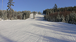 95 cm snow depth Foto nr 23