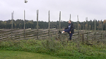 ...others in the "gärdsgård" Foto nr 13