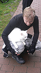Per the cat lover Foto nr 4