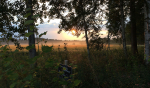Arla morgonstund i Harje på Närkes riviera Foto nr 11