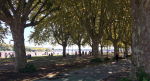 Söndag vid Garonne-floden Foto nr 177