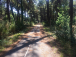 Två och en halv dag med cykelväg genom skogen, tack för det fransoser Foto nr 183