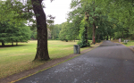 Slottsskogen Foto nr 25