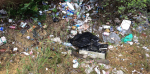 Håll Sverige rent saknar motsvarighet i Spanien Foto nr 347