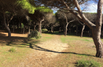 Naturpark i Tarifa Foto nr 385