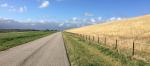 Skyddsvallen vid Harlingen Foto nr 42