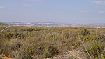 Laguna Rosa Foto nr 27