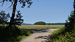 Foto nr 11