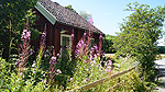 Foto nr 28