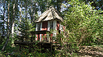 Foto nr 42