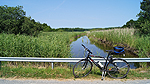 Foto nr 8