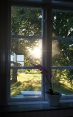 Foto nr 71