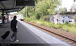Foto nr 3