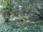 Foto nr 15