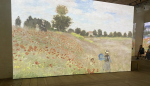Foto nr 19