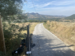 Foto nr 257
