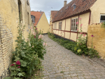 Foto nr 67