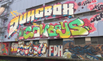 Foto nr 26
