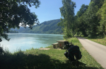 Foto nr 46