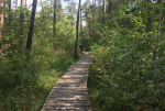 Foto nr 66